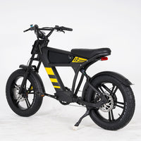 USA Warehouse Mangosteen FT03 750W 48V 18.2Ah Electric City Fat Tire Bike