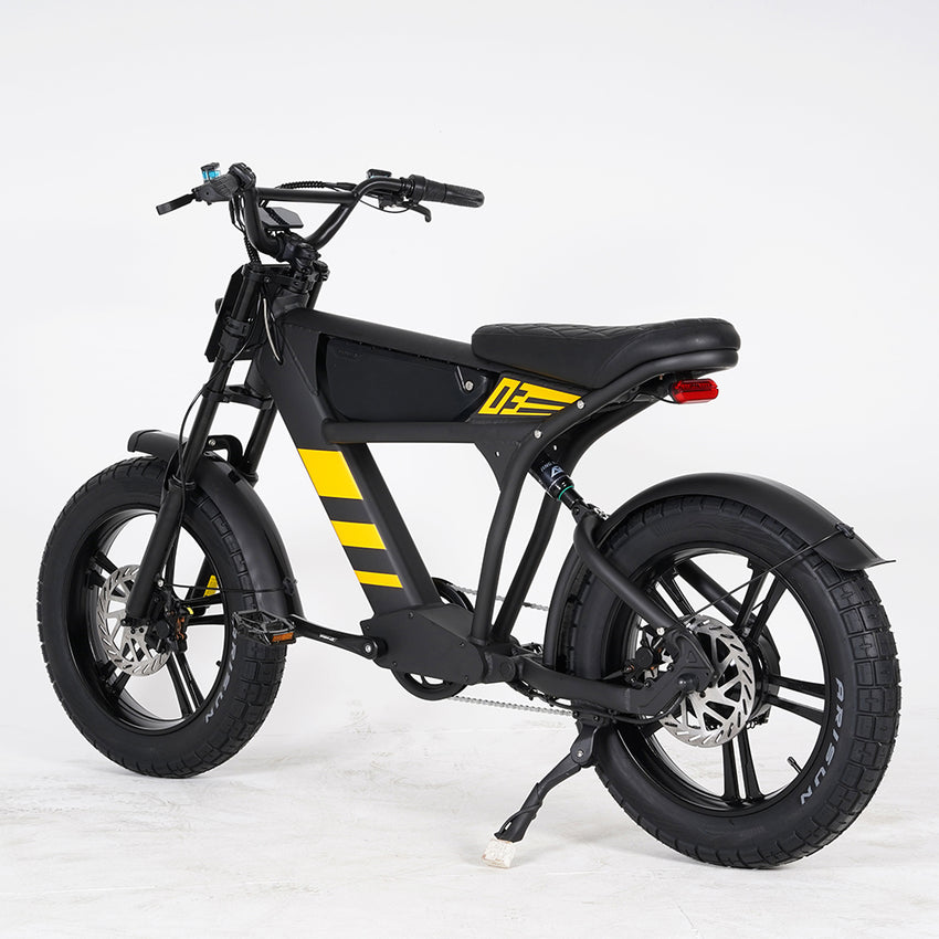USA Warehouse Mangosteen FT03 750W 48V 18.2Ah Electric City Fat Tire Bike