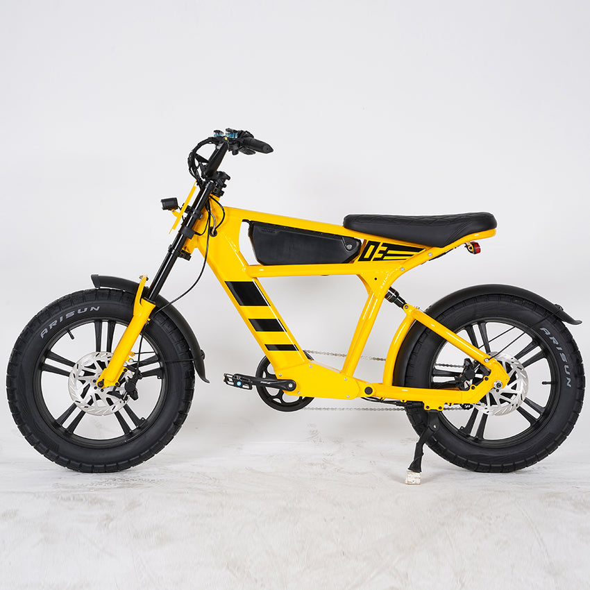 USA Warehouse Mangosteen FT03 750W 48V 18.2Ah Electric City Fat Tire Bike