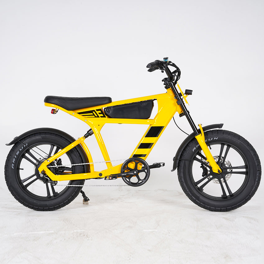 USA Warehouse Mangosteen FT03 750W 48V 18.2Ah Electric City Fat Tire Bike