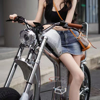 FT-02 Mangosteen Electroplated Ebike 1500W 52V 27Ah