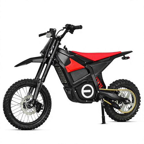 Q6 Off Road Tyre Dirt Bike 2000W/3000W/4500W Cycle E Bicycle Motor Moped Ebike