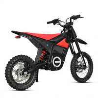 Q6 Off Road Tyre Dirt Bike 2000W/3000W/4500W Cycle E Bicycle Motor Moped Ebike