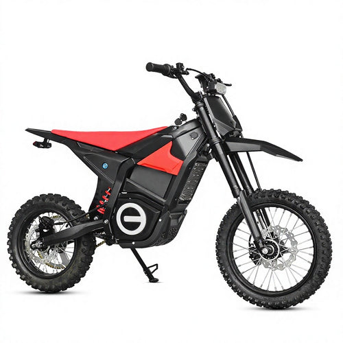Q6 Off Road Tyre Dirt Bike 2000W/3000W/4500W Cycle E Bicycle Motor Moped Ebike