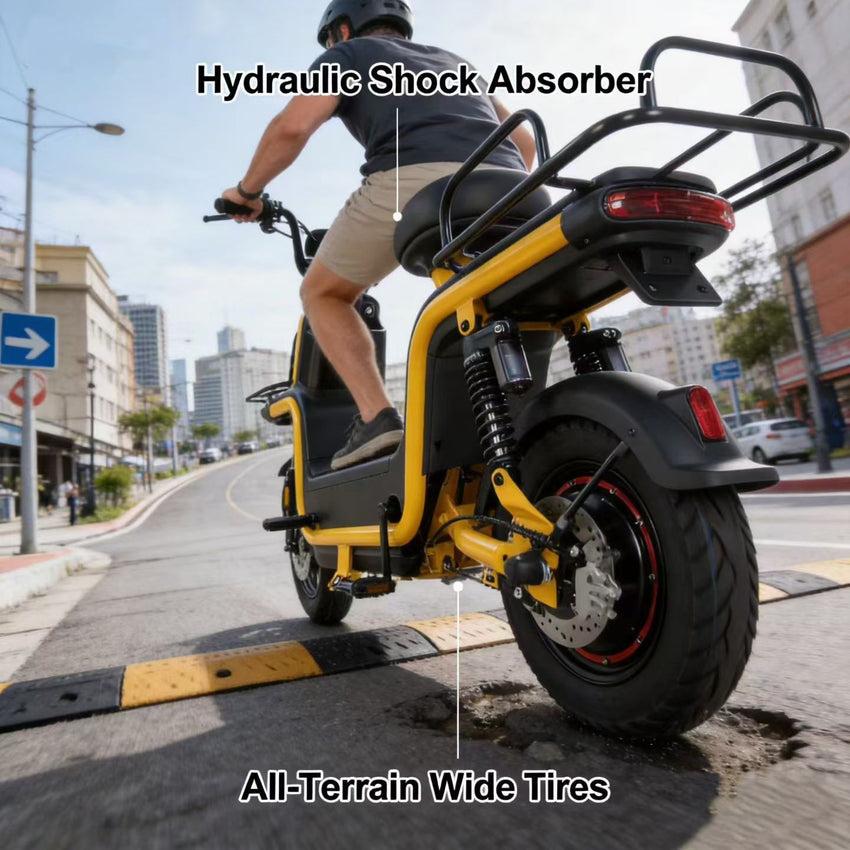 S1 Electric Motorcycle 800W 48V/60V E-bike Moped Bicycle