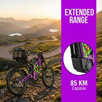 4000W Lithium Off-Road Motorcycles SHANSU SS-6.0PRO Electric Dirt Bike 40AH 72V with 90km/h Max Speed for Adults