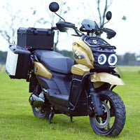 TK Scooter Powerful Citycoco for Brazil Market Citycoco Scooter Big Seat Electric Scooter