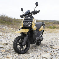 TK Scooter Powerful Citycoco for Brazil Market Citycoco Scooter Big Seat Electric Scooter