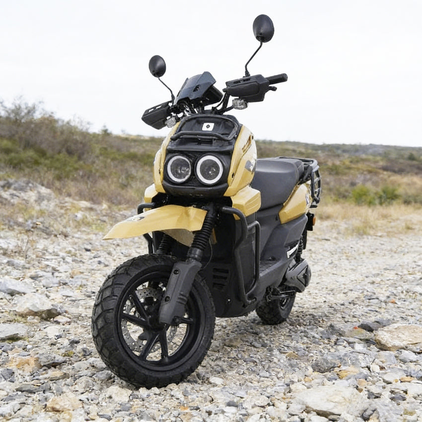 TK Scooter Powerful Citycoco for Brazil Market Citycoco Scooter Big Seat Electric Scooter