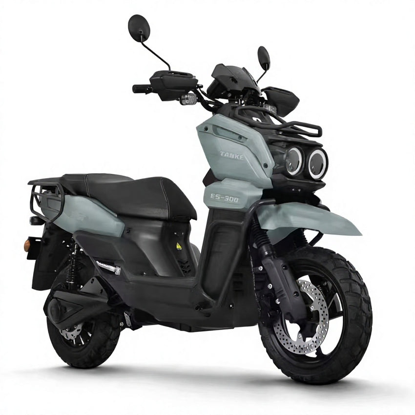 TK Scooter Powerful Citycoco for Brazil Market Citycoco Scooter Big Seat Electric Scooter