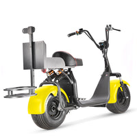 ES1001 Golf Electric Scooter Citycoco 2 Wheel Motorcycle