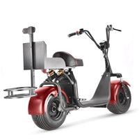 ES1001 Golf Electric Scooter Citycoco 2 Wheel Motorcycle