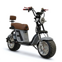 X21-F Strollwheel Citycoco Mini Scooter 2000W 60V 12Ah/20Ah/25Ah Battery for Brazil Market