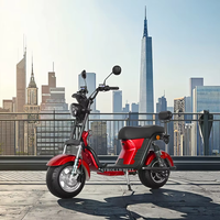 X21 with USA Charger Port 1000W 60V 12Ah/20AH/25Ah Brazil Electric Citycoco Short Wheelbase E Scooter