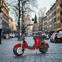 X21 with USA Charger Port 1000W 60V 12Ah/20AH/25Ah Brazil Electric Citycoco Short Wheelbase E Scooter