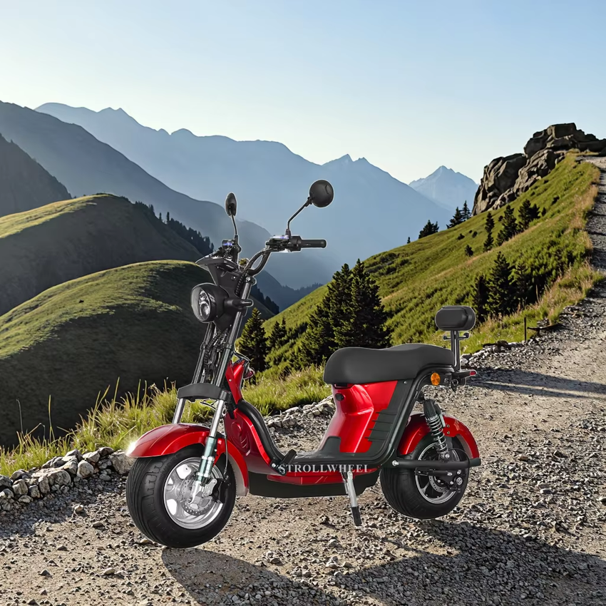 X21 with USA Charger Port 1000W 60V 12Ah/20AH/25Ah Brazil Electric Citycoco Short Wheelbase E Scooter