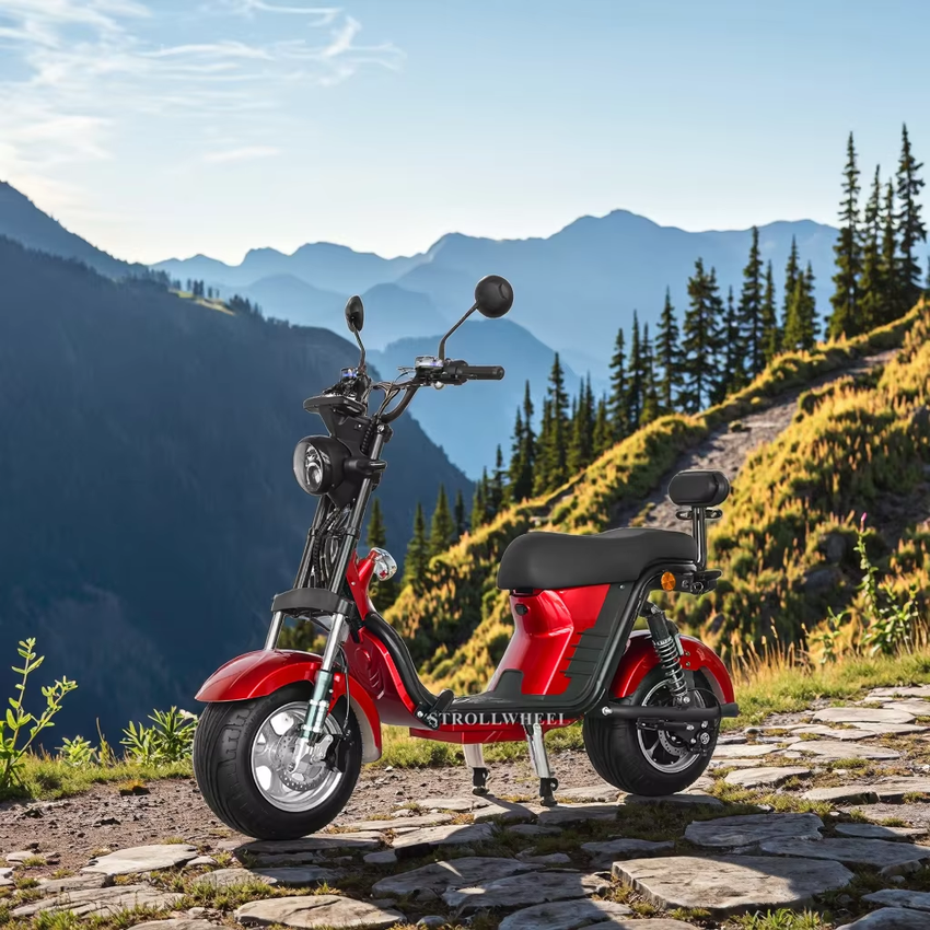 X21 with USA Charger Port 1000W 60V 12Ah/20AH/25Ah Brazil Electric Citycoco Short Wheelbase E Scooter