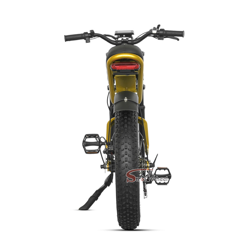 Z1 Electric Bike 500W 48V 15Ah Battery E-bike Mountain Bicycle Max Speed 45KM/H