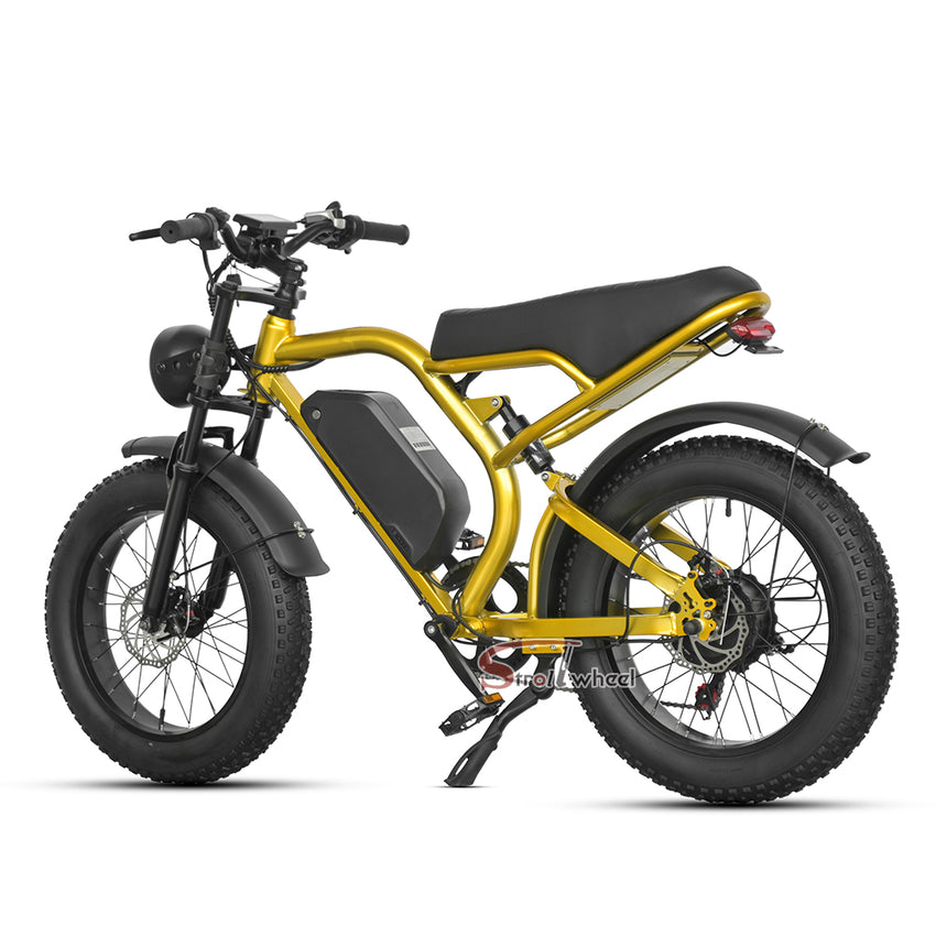 Z1 Electric Bike 500W 48V 15Ah Battery E-bike Mountain Bicycle Max Speed 45KM/H