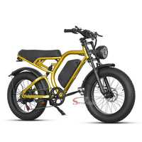 Z1 Electric Bike 500W 48V 15Ah Battery E-bike Mountain Bicycle Max Speed 45KM/H