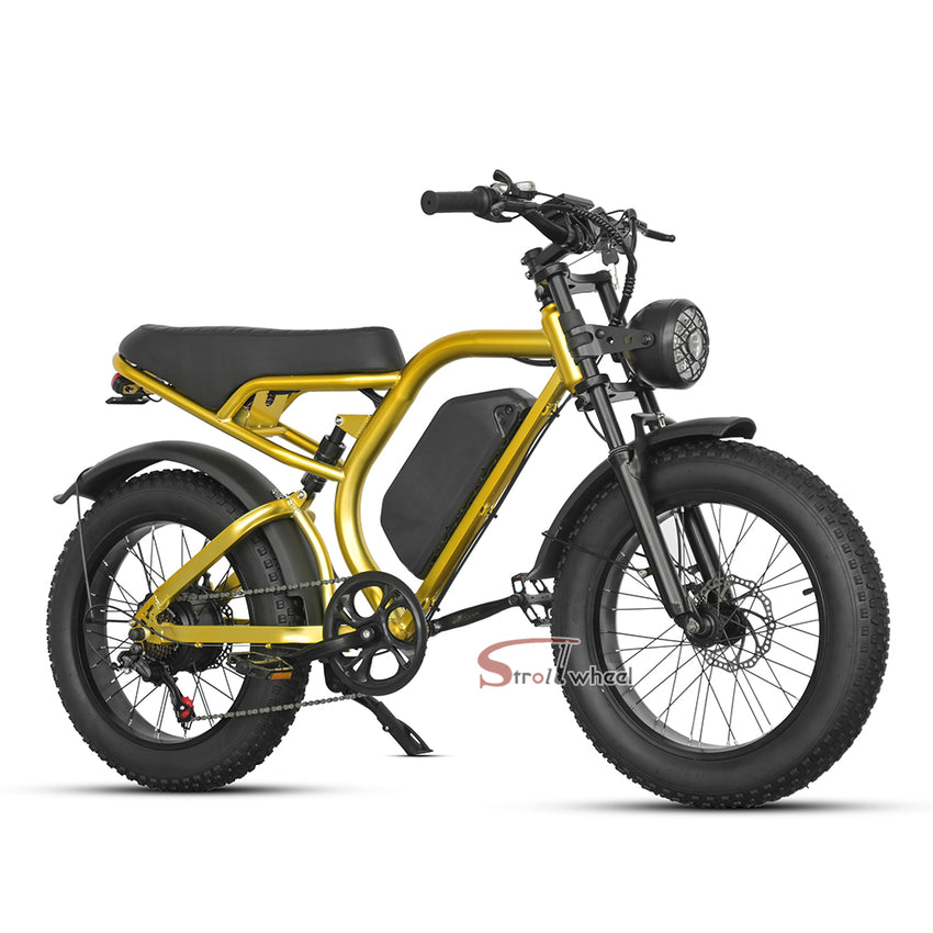 Z1 Electric Bike 500W 48V 15Ah Battery E-bike Mountain Bicycle Max Speed 45KM/H