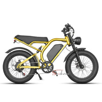 Z1 Electric Bike 500W 48V 15Ah Battery E-bike Mountain Bicycle Max Speed 45KM/H