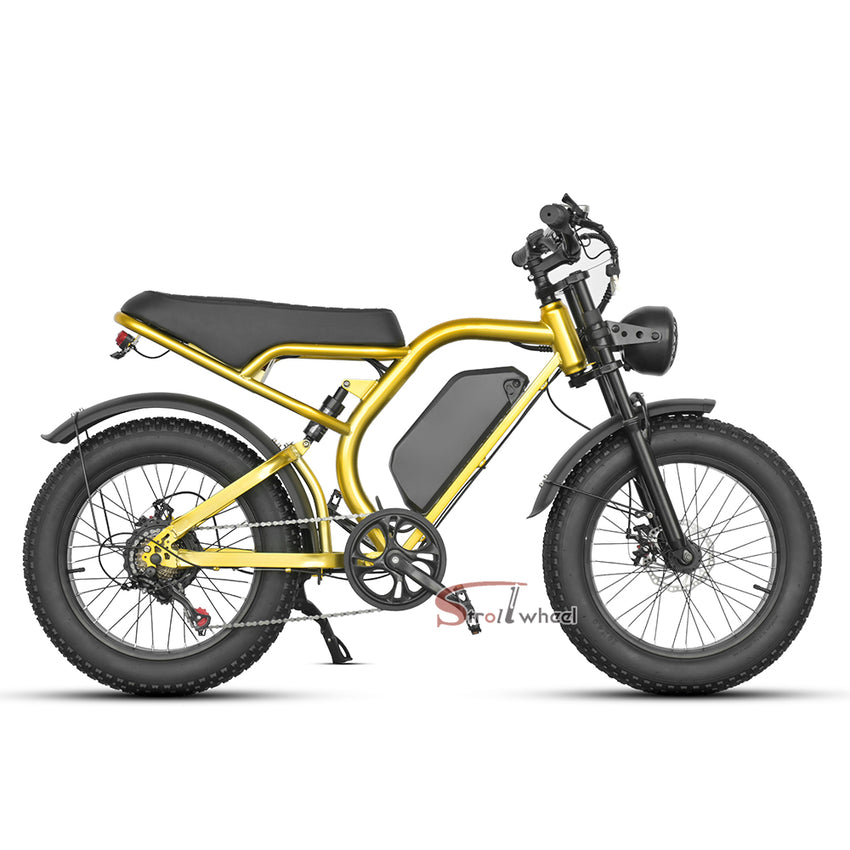 Z1 Electric Bike 500W 48V 15Ah Battery E-bike Mountain Bicycle Max Speed 45KM/H
