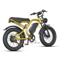 Z1 Electric Bike 500W 48V 15Ah Battery E-bike Mountain Bicycle Max Speed 45KM/H