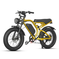 Z1 Electric Bike 500W 48V 15Ah Battery E-bike Mountain Bicycle Max Speed 45KM/H
