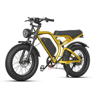 Z1 Electric Bike 500W 48V 15Ah Battery E-bike Mountain Bicycle Max Speed 45KM/H