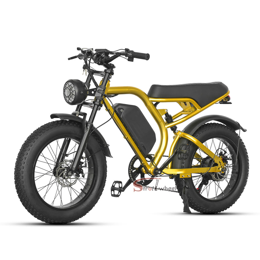 Z1 Electric Bike 500W 48V 15Ah Battery E-bike Mountain Bicycle Max Speed 45KM/H