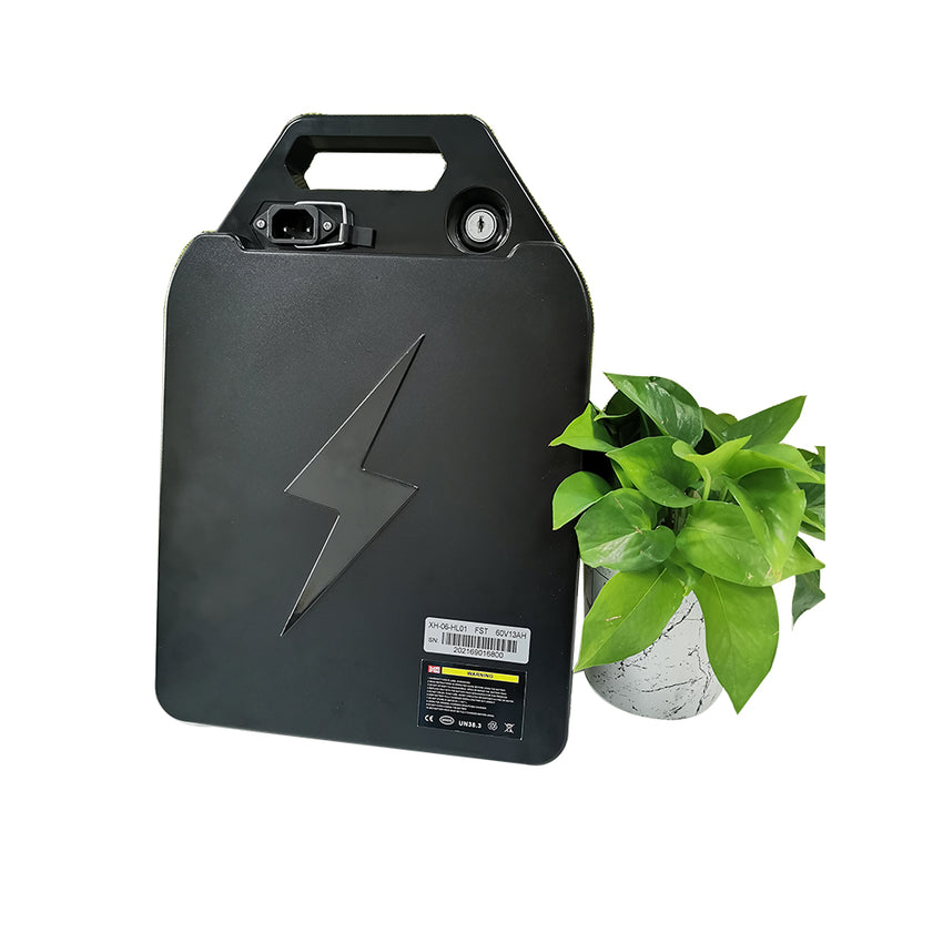 Shansu CP models battery Citycco parts accessory EU Warehouse stock
