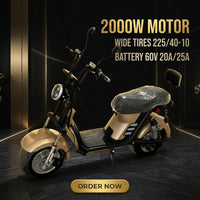 M8(X21) Second Generation Electric Citycoco Scooter 2000W 60V 25Ah Battery for Brazil Market