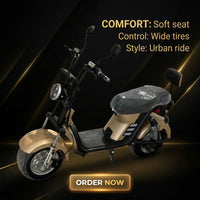 M8(X21) Second Generation Electric Citycoco Scooter 2000W 60V 25Ah Battery for Brazil Market